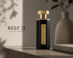 Reef 21 Black Eau De Parfum 100ml – Men's Luxury Perfume | Intense Long Lasting Woody Aromatic Fragrance