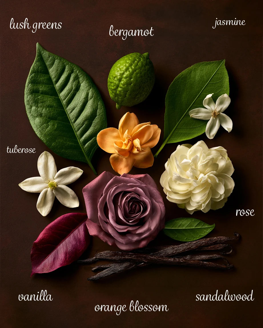 Royal Mirage Original Eau de Cologne 120ml | Classic Fresh Floral Woody Fragrance